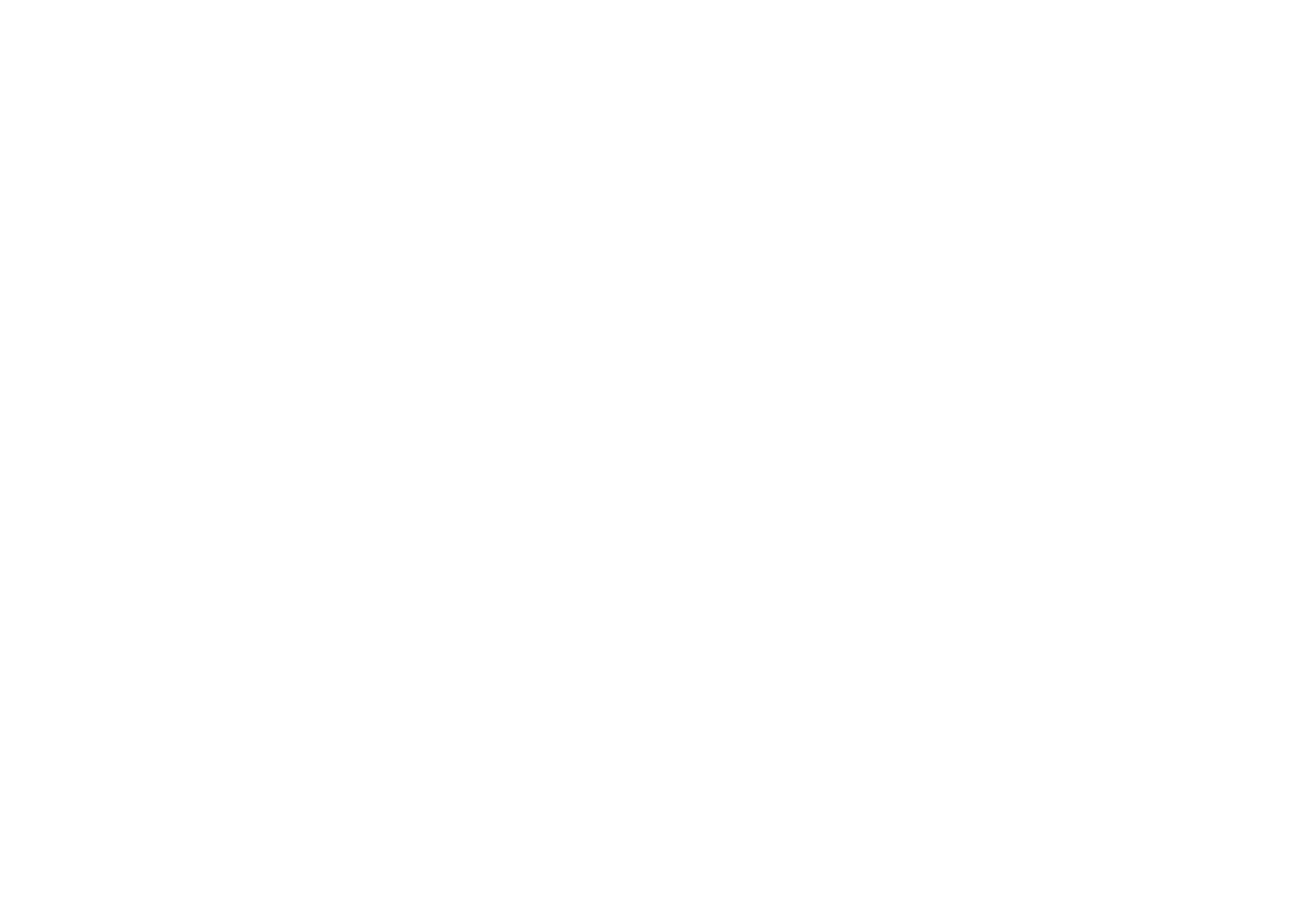 TEL’AVIV BUSINESS GROUP Consulting